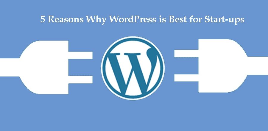 WordPress-for-start-up