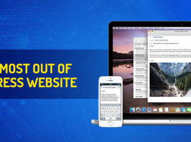 wordpress website developer